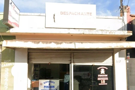 Pinguim Despachante