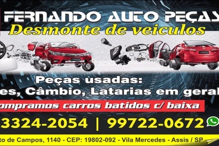 Fernando Auto Peças em Assis/SP