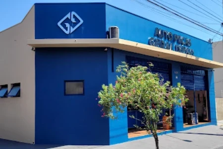 Auto Peças Geral Diesel em Assis/SP